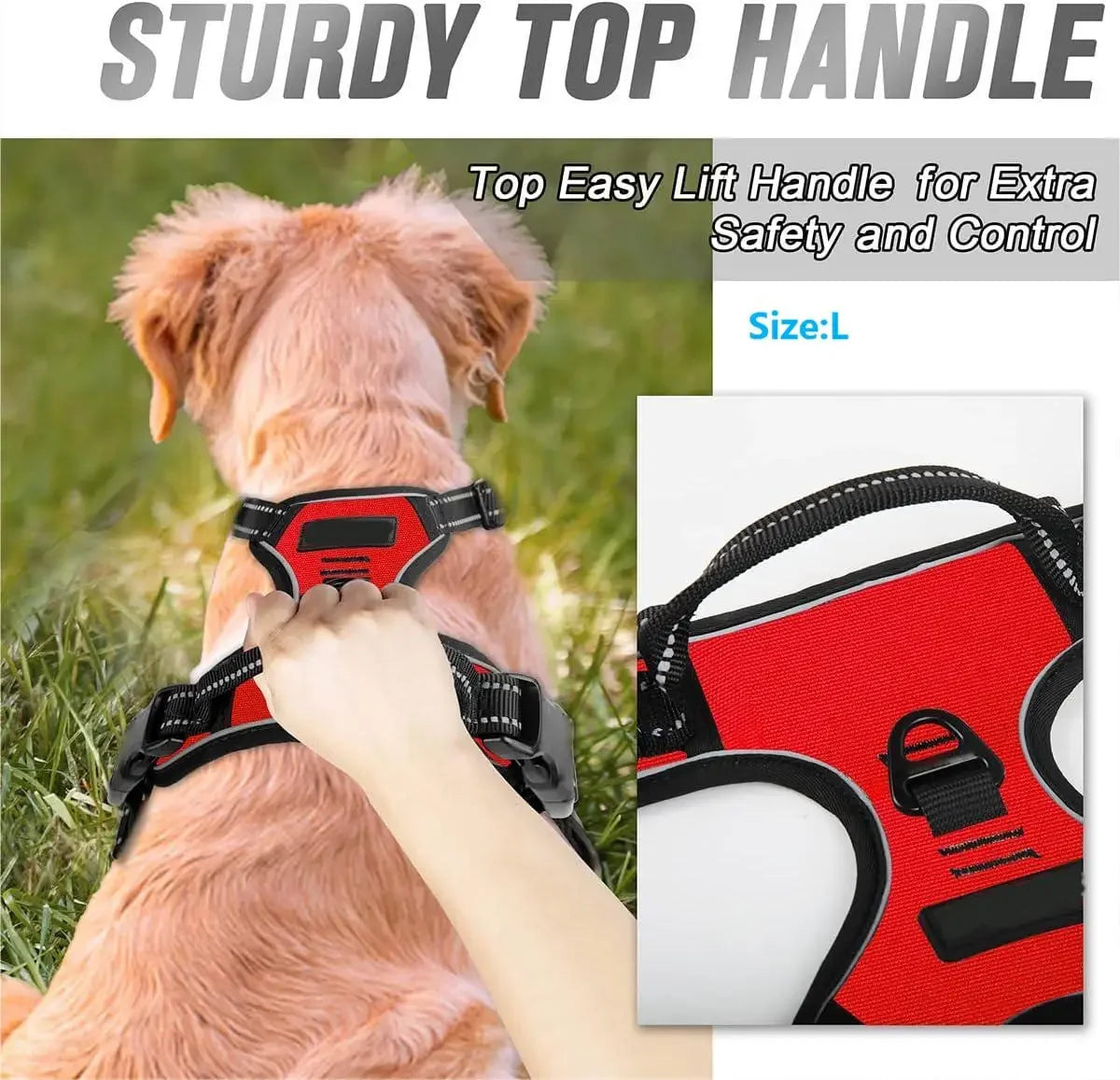 Control Fit Harness