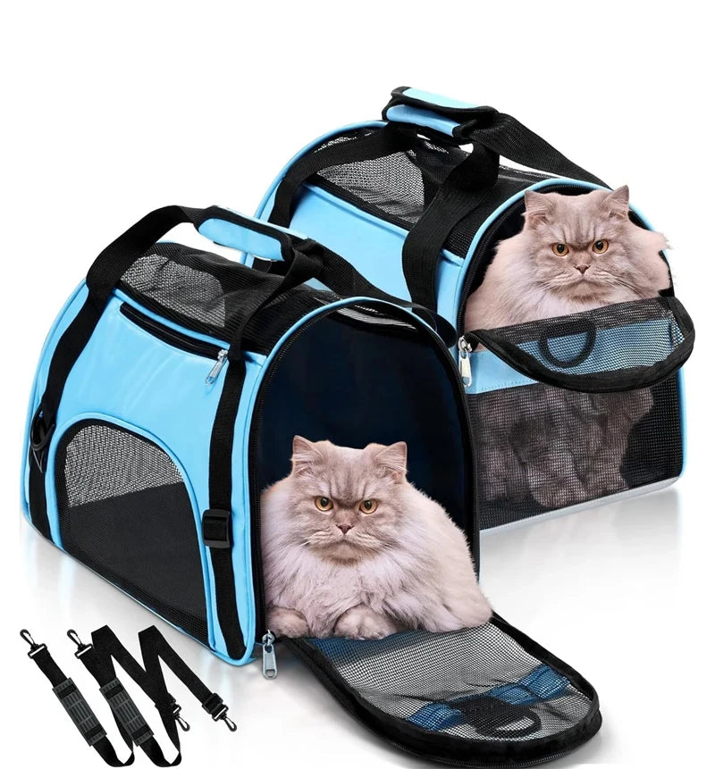 Breathe Easy Carrier