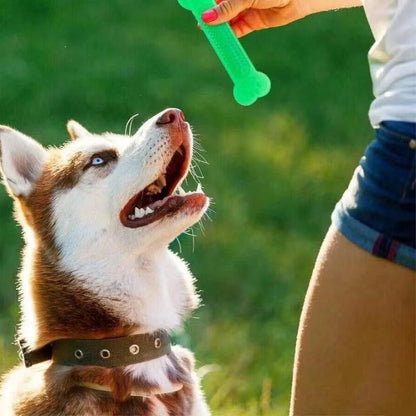 Chew Guard Bone