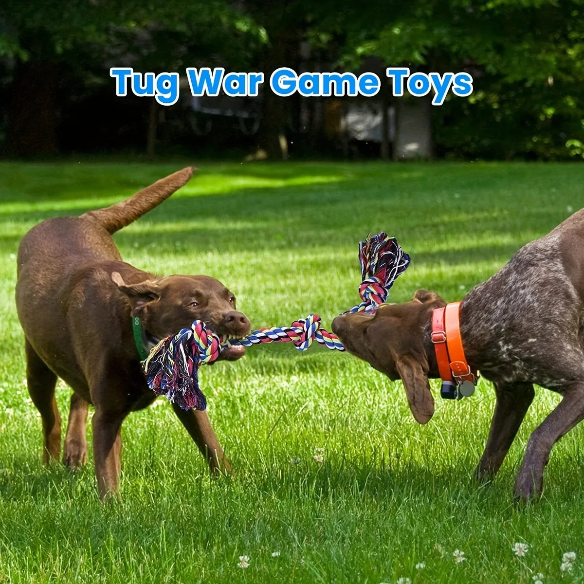 Knot Rage Toy
