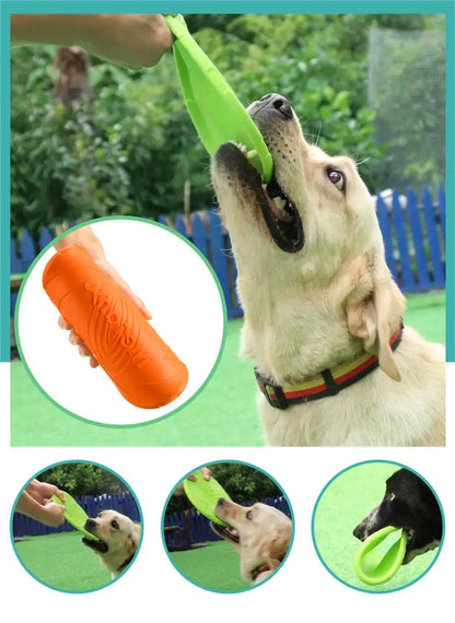 Fly Fetch Disc