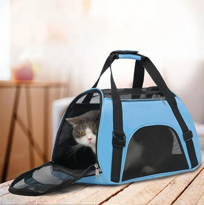 Breathe Easy Carrier