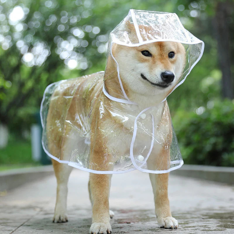Paws Dry Raincoat