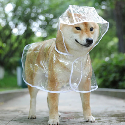 Paws Dry Raincoat