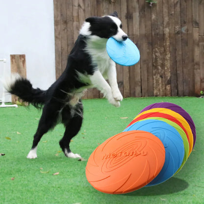 Fly Fetch Disc