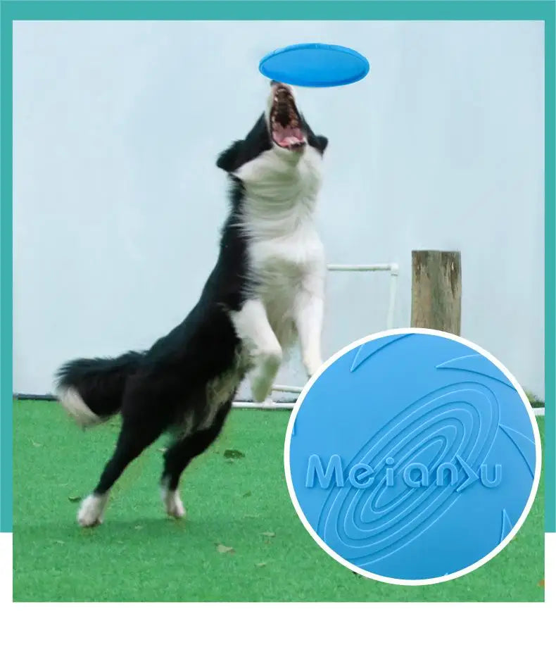 Fly Fetch Disc