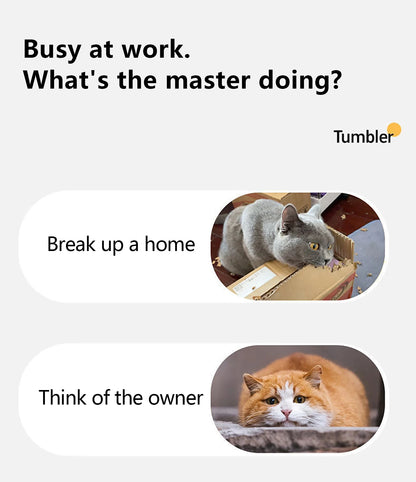Paw Tease Smart Ball